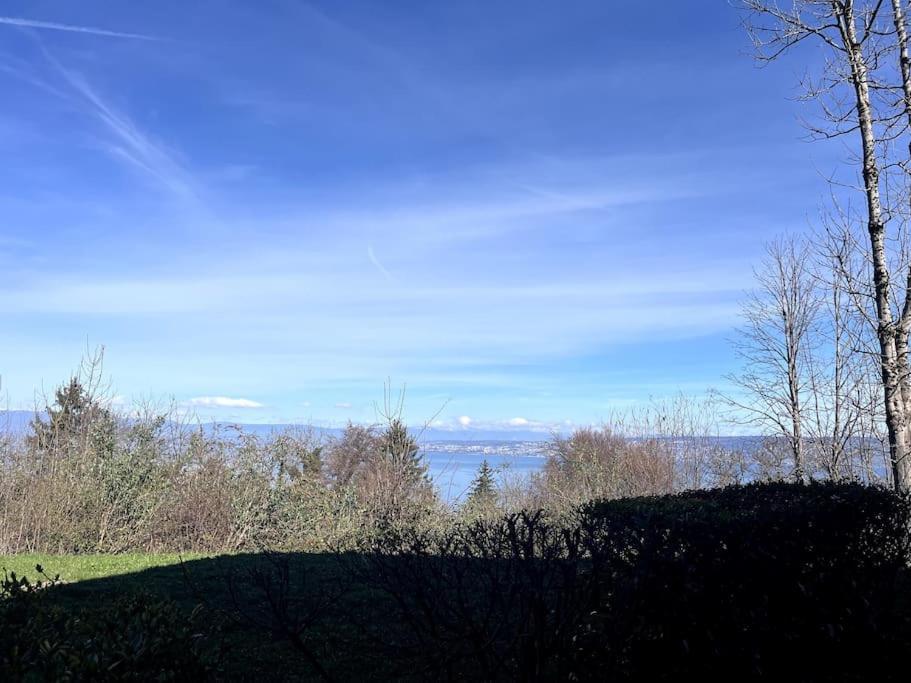 Lugrin Proche Du Lac Et Montagne Eksteriør billede