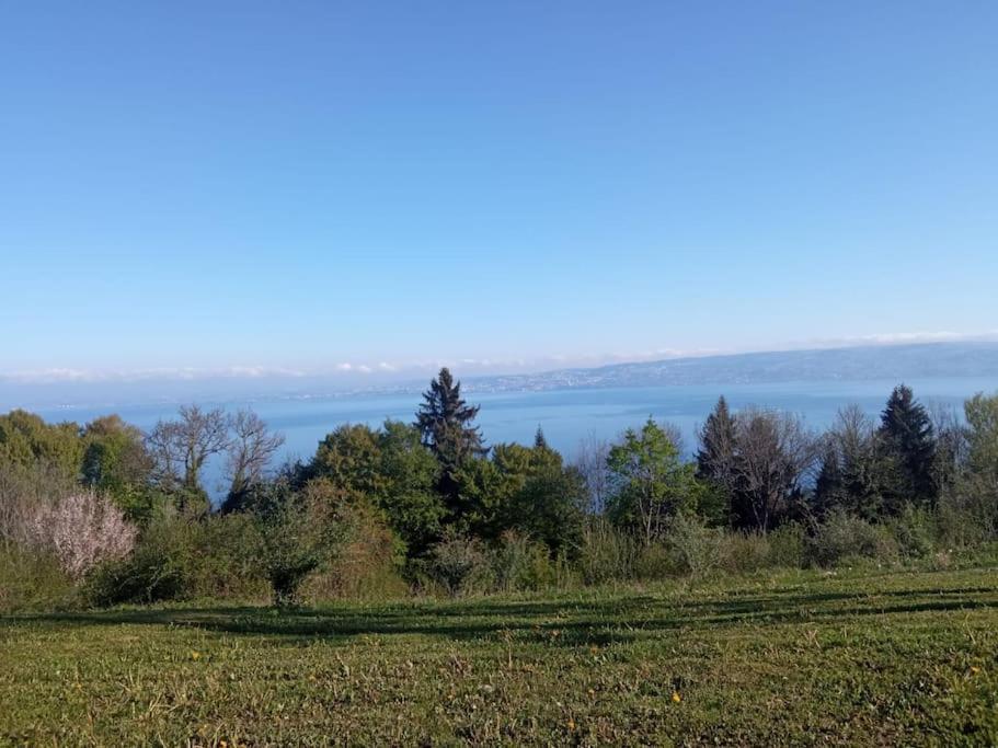 Lugrin Proche Du Lac Et Montagne Eksteriør billede