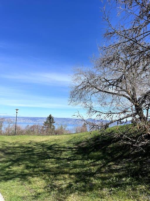 Lugrin Proche Du Lac Et Montagne Eksteriør billede